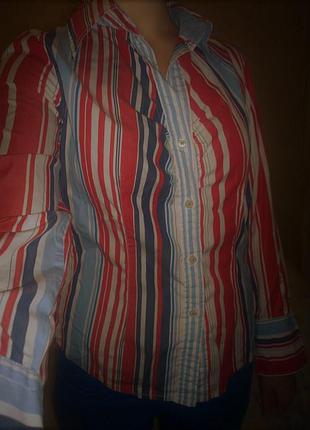 Сорочка tommy hilfiger розмір м 5