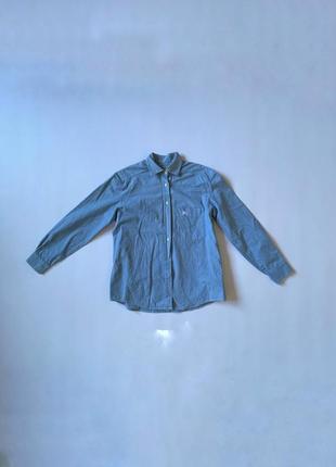 Thomas burberry сорочка чоловіча жіноча, щільна