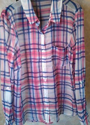 Нежнейшая фирменная блуза от tcm tchibo.германия. оригинал!!!5 фото