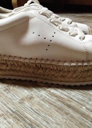 Кеді на платформі