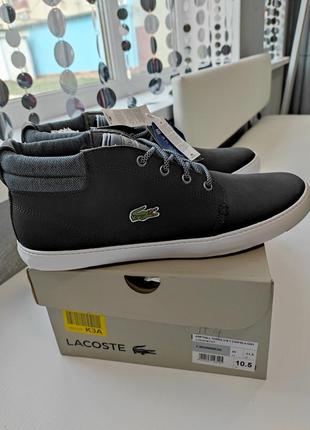 Оригінал! кросівки lacoste (франція), розмір 452 фото