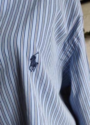 Рубашка полоска бело-голубая,polo lauren ralph голубой,р.m3 фото