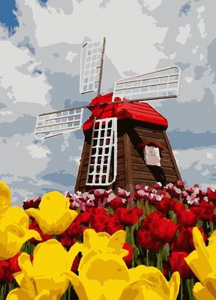 Картина по номерам "цветущая голландия" 50*60 см, набор для творчества, artmo, украина