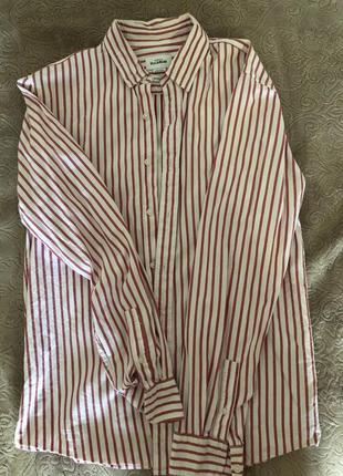 Чоловіча сорочка, чоловіча рубашка