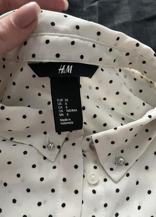 Блуза від h&m (36)4 фото