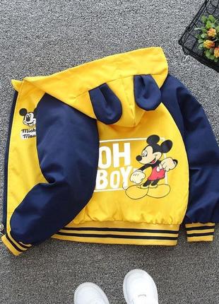 Вітрівка міккі