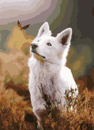 Картина за номерами собачка з метеликом gx43080