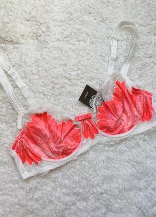 Бюсгалтер lingerie