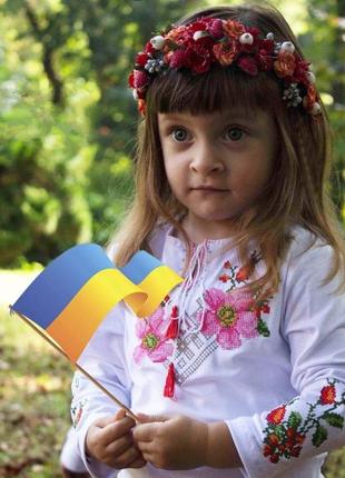 Трикотажний лонгслів вишиванка шипшина