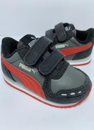 Кроссовки puma1 фото