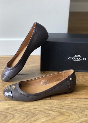 Балетки coach