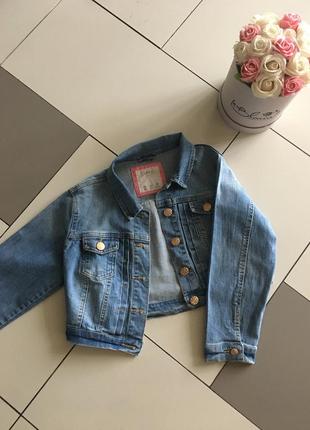 Джинсовая куртка джинсовка denim co