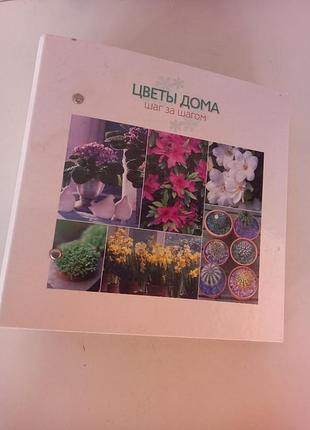 Квіти будинку