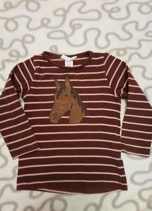 Кофта реглан