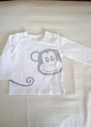 Кофта лонгслив реглан на хлопчика дівчинку до 5-6 міс, 62 р