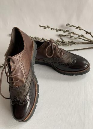 Туфлі мешти/ жіноче взуття