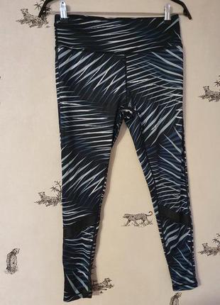 Лосины workout 7