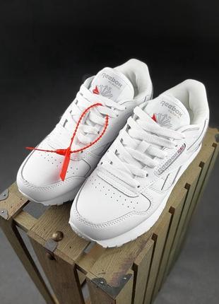 Женские кроссовки reebok Low classic