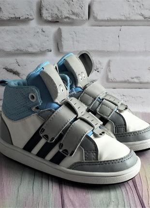 Кроссовки adidas neo hoops animal 22р.