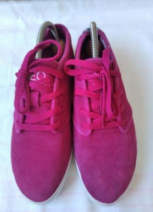 Кросівки adidas neo