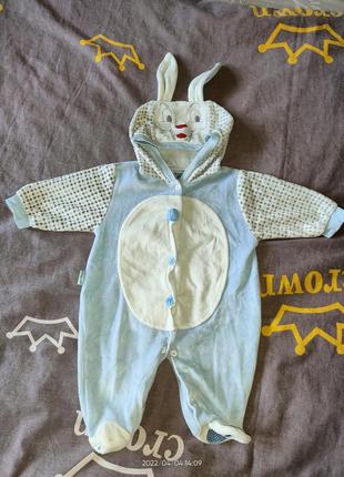 Махровий чоловічок