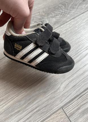 Кросівки  adidas