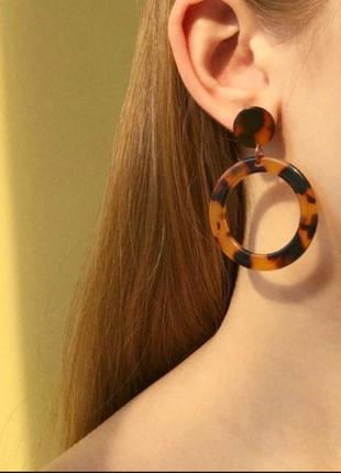 Серьги кольца круглые кольца серединки тигровые