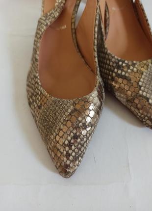 Туфлі жіночі lamica.брендове взуття stock2 фото