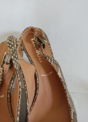 Туфлі жіночі lamica.брендове взуття stock4 фото