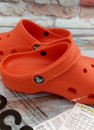 Сабо crocs classic clog c11, c12,  tangerine кроксы  мандарин оранж5 фото