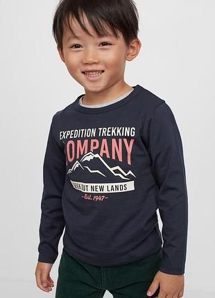 Регланы для мальчиков фирмы h&m (швеция )