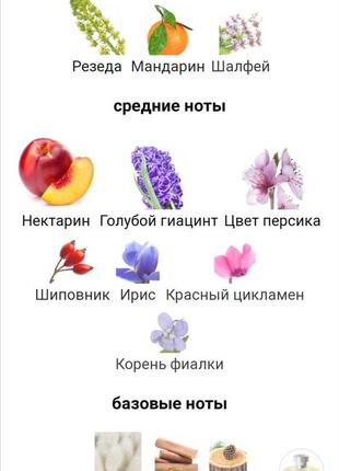 Масляні духи weekend