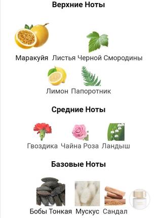 Масляні духи cassiopea4 фото