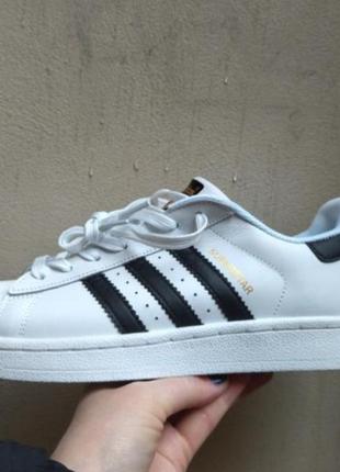 Стильні шкіряні кросівки adidas superstar white шкіра суперстар розміри запитуйте1 фото