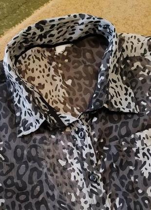Леопардовая тигровая рубашка блуза  блузка ххс, хс размер2 фото