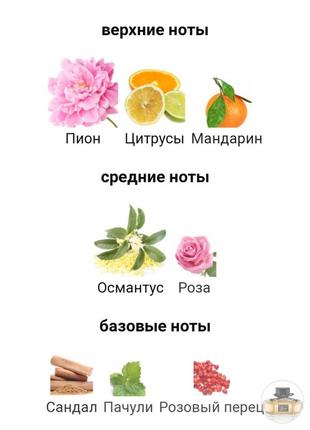 Масляні духи4 фото