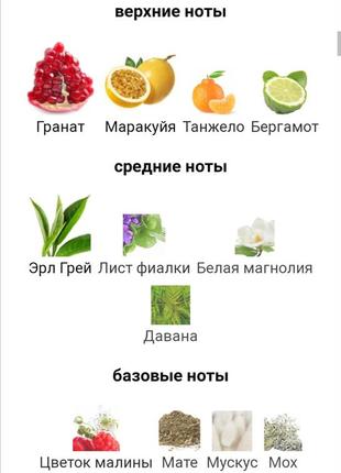 Масляні духи pomegranate4 фото