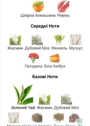 Масляные духи green tea4 фото