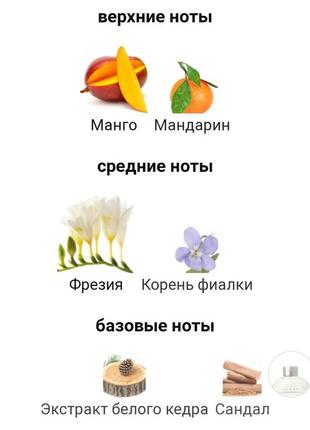 Масляные духи4 фото