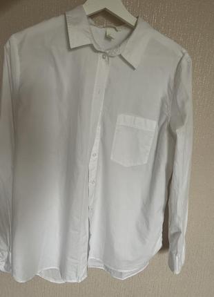 Блуза рубашка сорочка zara h&m біла сорочка бавовняна базова6 фото