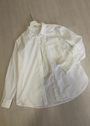 Блуза рубашка рубашка zara h&amp;m белая рубашка хлопковая базовая5 фото