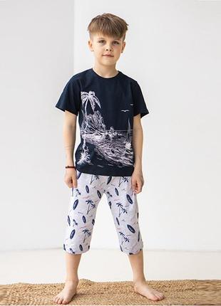 Комплект шорты и футболка для мальчика 102901 фото
