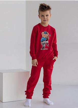 Комплект штани та джемпер для хлопчика 10296