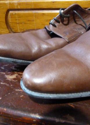 Кожаные туфли geox   к205 фото