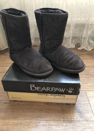 Угги bearpaw1 фото