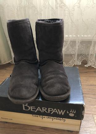 Угги bearpaw2 фото