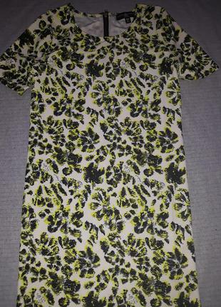 Плаття little  mistress