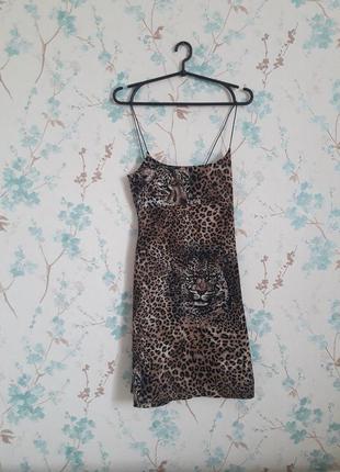 Леопардовое платье на брителях1 фото
