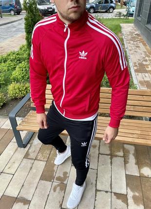 Костюм adidas без капюшона2 фото