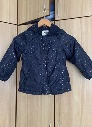 Куртка, ветровка с капюшоном